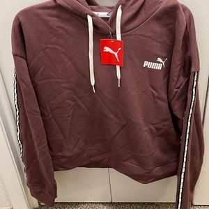 Puma Marrón Croptop Hoddie
